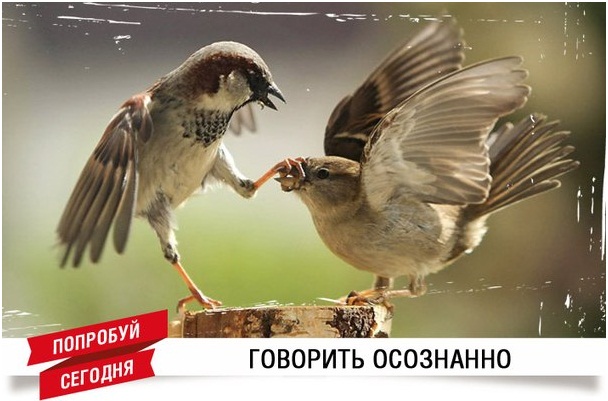 Не критиковать, а друзей прославлять