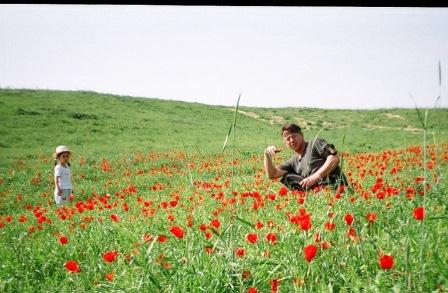 Колыбельная дочери
