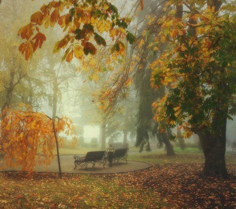 Палитра Осени...