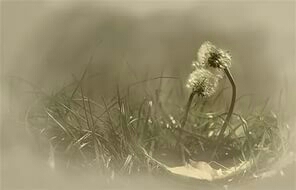 обыденность 23. 10. 2015