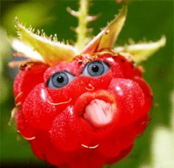 Быть может, пуля помогла бы мне в висок?!