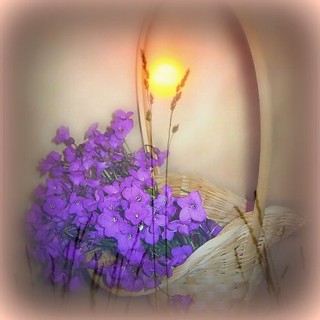 Не всегда бывает гладко