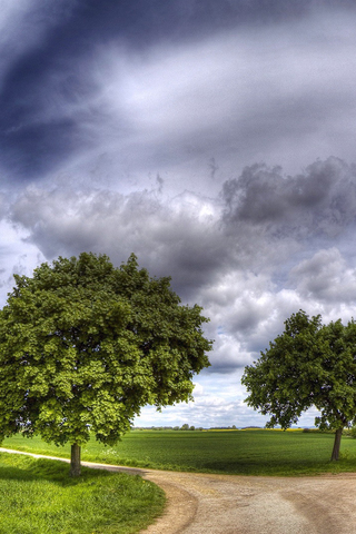 Запеленали небо облака