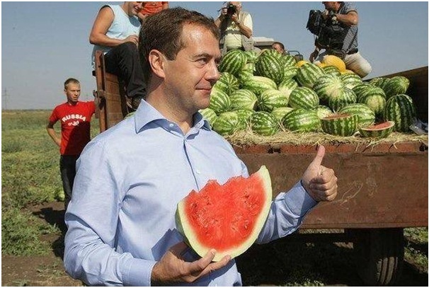 Глянул, и стало на душе веселей