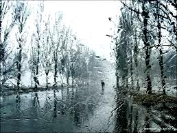 Слякотные мысли