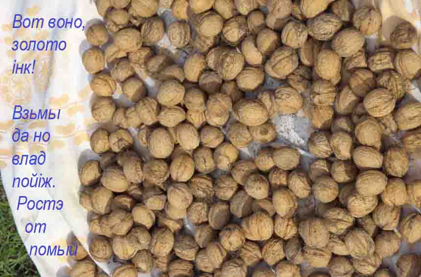 Колы ты хочыш шось зробыты,