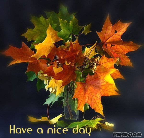 Осенний ноктюрн