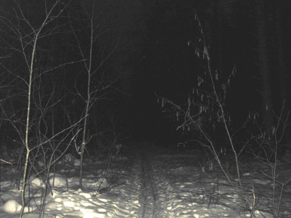 Короток час... Короток век...