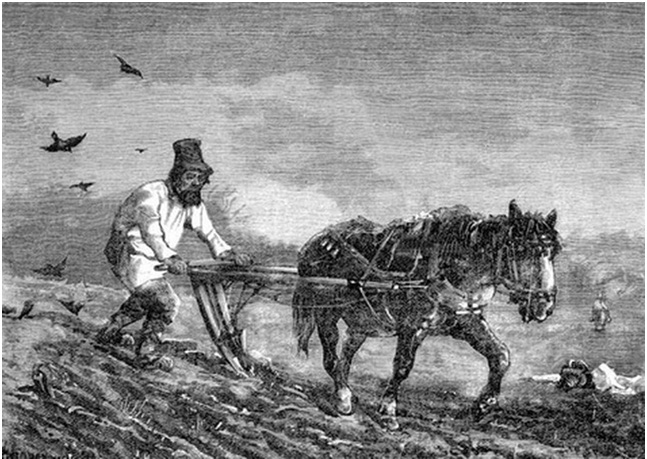 пахарь стихотворчества... рецензия