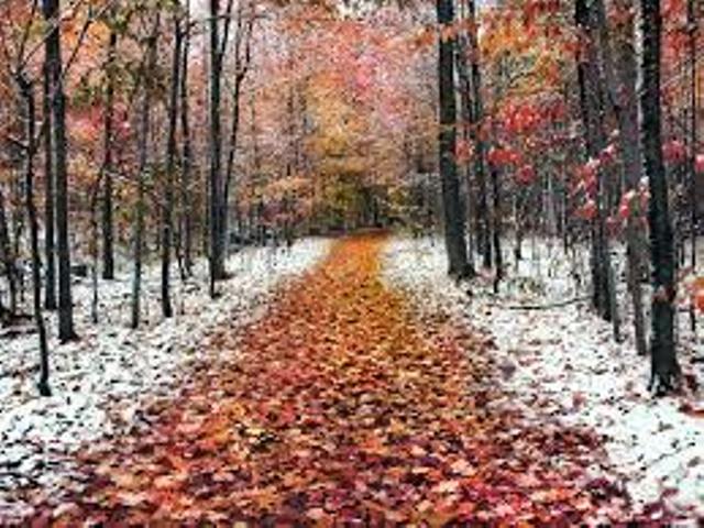 С первым снегом!