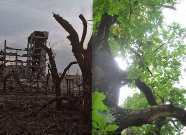 Война и Мир