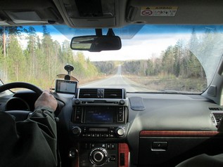 Звонком ты вновь развеселил...