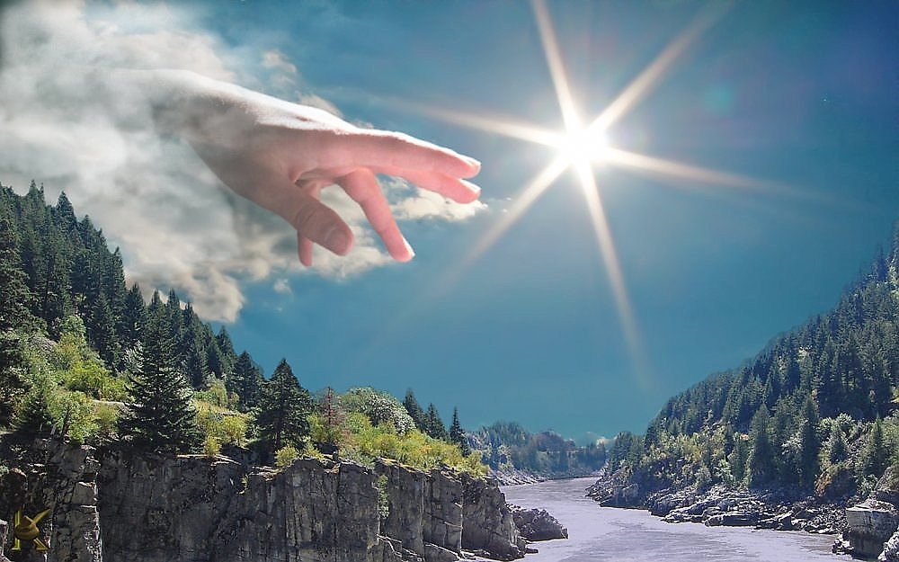 Жалко, что я не такая глупая