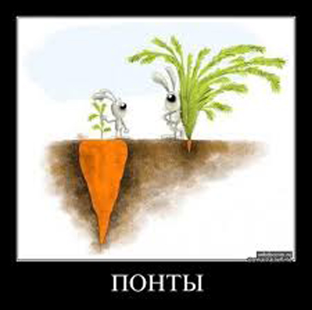 Следы понтов