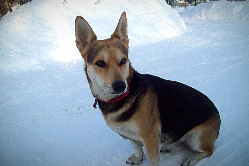 Обычное дело - ждать