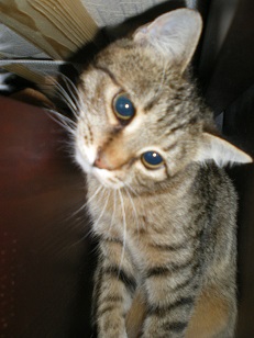 Вот и встретились два одиночества...