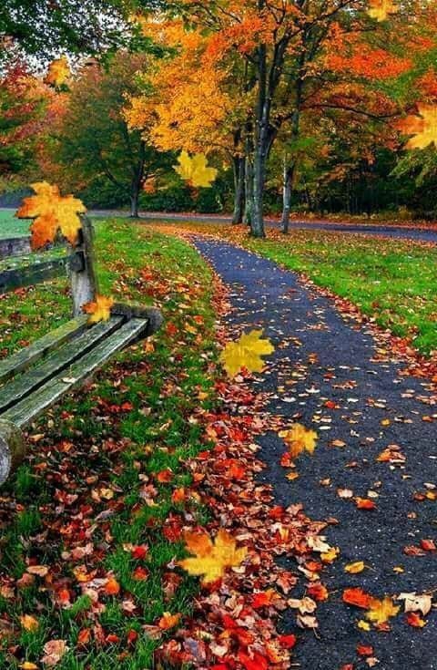 Преддверие...