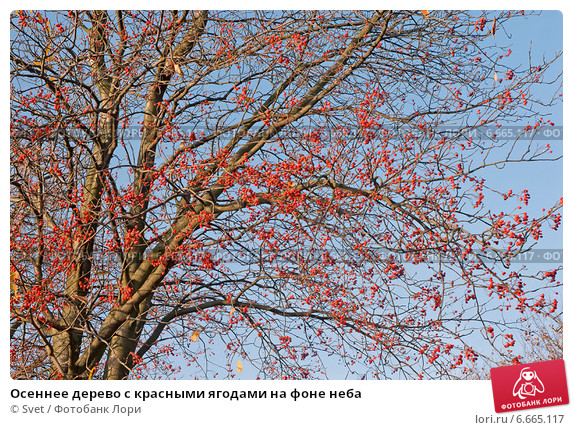 Октябрь уходит