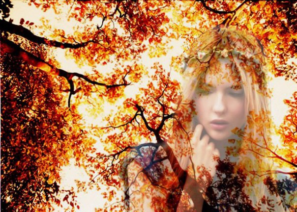 Дождливая осень. В который раз осень. Листопад фото. Пробежка по осеннему лесу. Осенний парк.