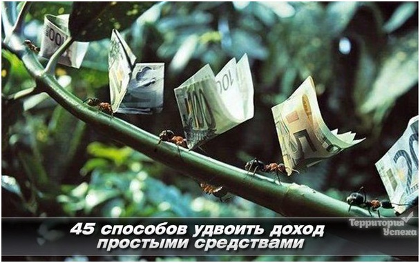Где мне найти такой муравейник