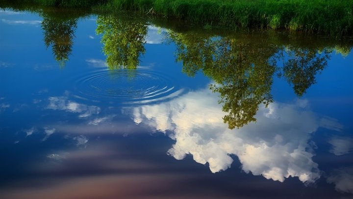 В ручье моём