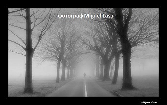 Александрийский стих