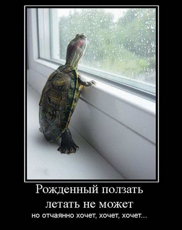 Рождённый ползать летать не позволит. Басня