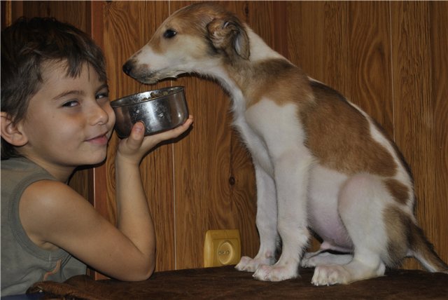 С любимыми не расставайтесь