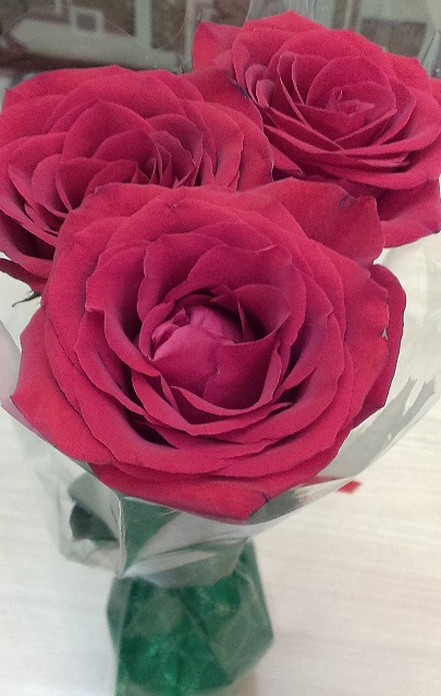 Любовь пленительно искрит