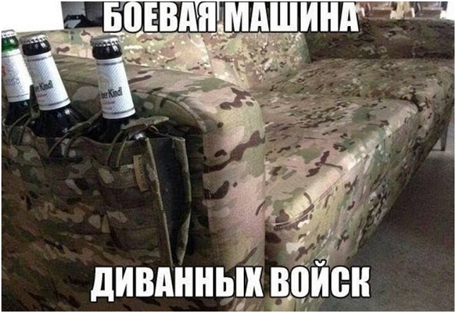 Рядовой диванных войск