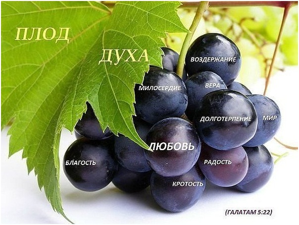 Я получила все Мать Тереза