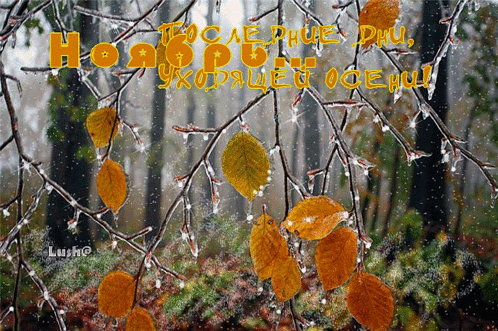 Сказка осенней поры. Ноябрь
