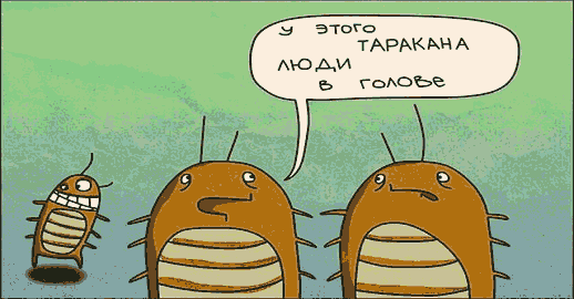 Тараканы
