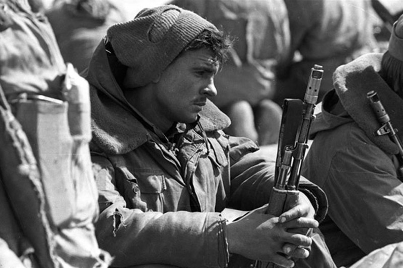 Барсучий султан