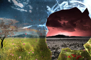 Рухнули иллюзии