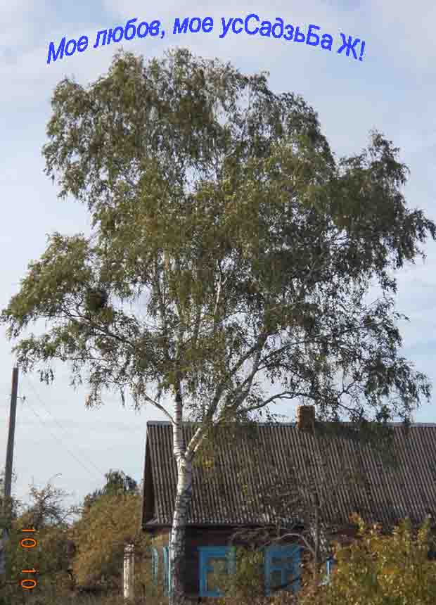 Наизмор жэ фси бером крам