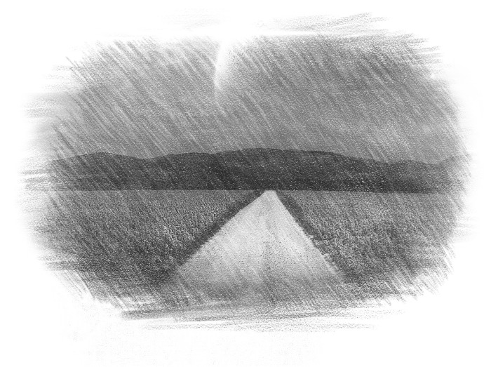 Дорога, ночь, и шум мотора