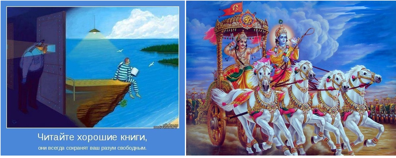 Какие книги надо покупать