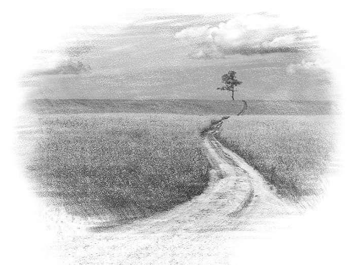 Я выйду в поле