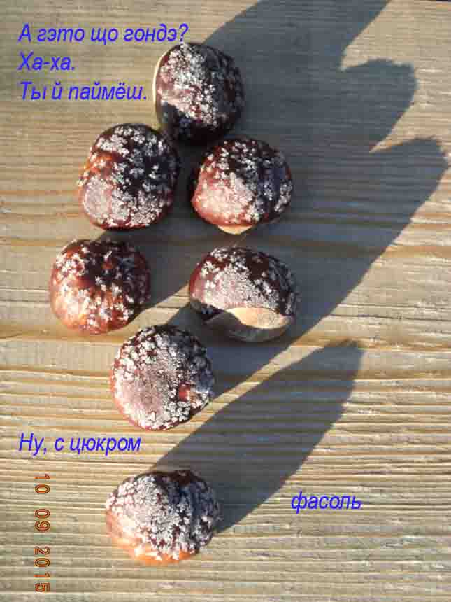 Мы тут зарэ додав ажны 2 шануВаньк!