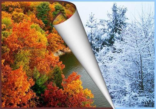 Осень Золотая в танце, затихая