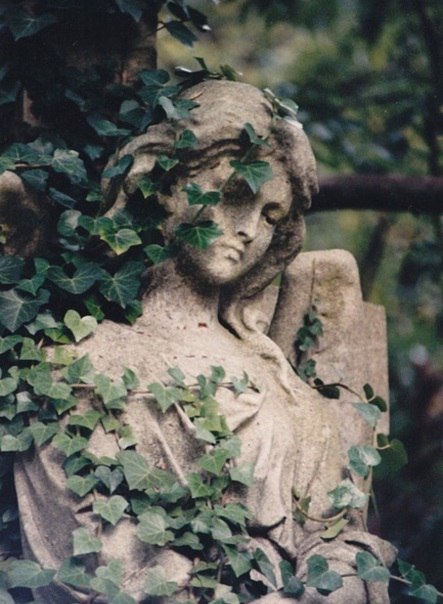 Бабы чистили временный смысл