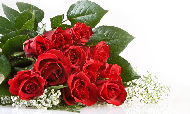 Цветами застелю твою могилу