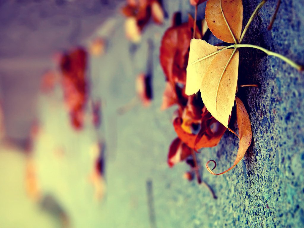 Осень всегда как-то веяла грустью... (Анастасия Хрусталёва) / Стихи.ру