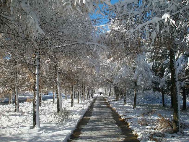 Подморозило