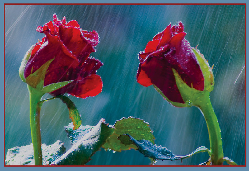 Не могу быть хорошей для всех