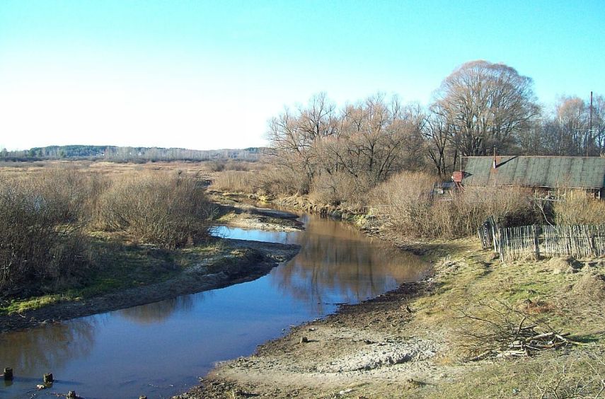 Стр. 41. русская резьба. смелостев владимитр