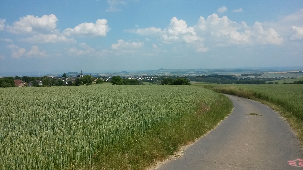 К чужим красотам сердце не лежит