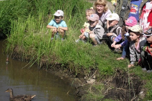 Берега детства