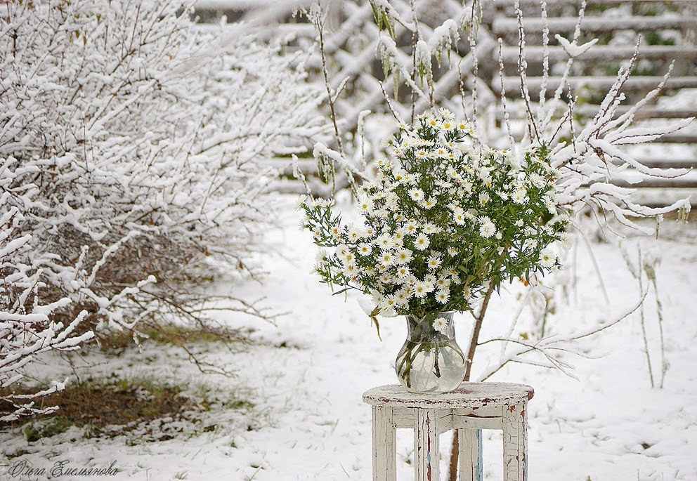 Не збулось... Перевод Светланы Груздевой